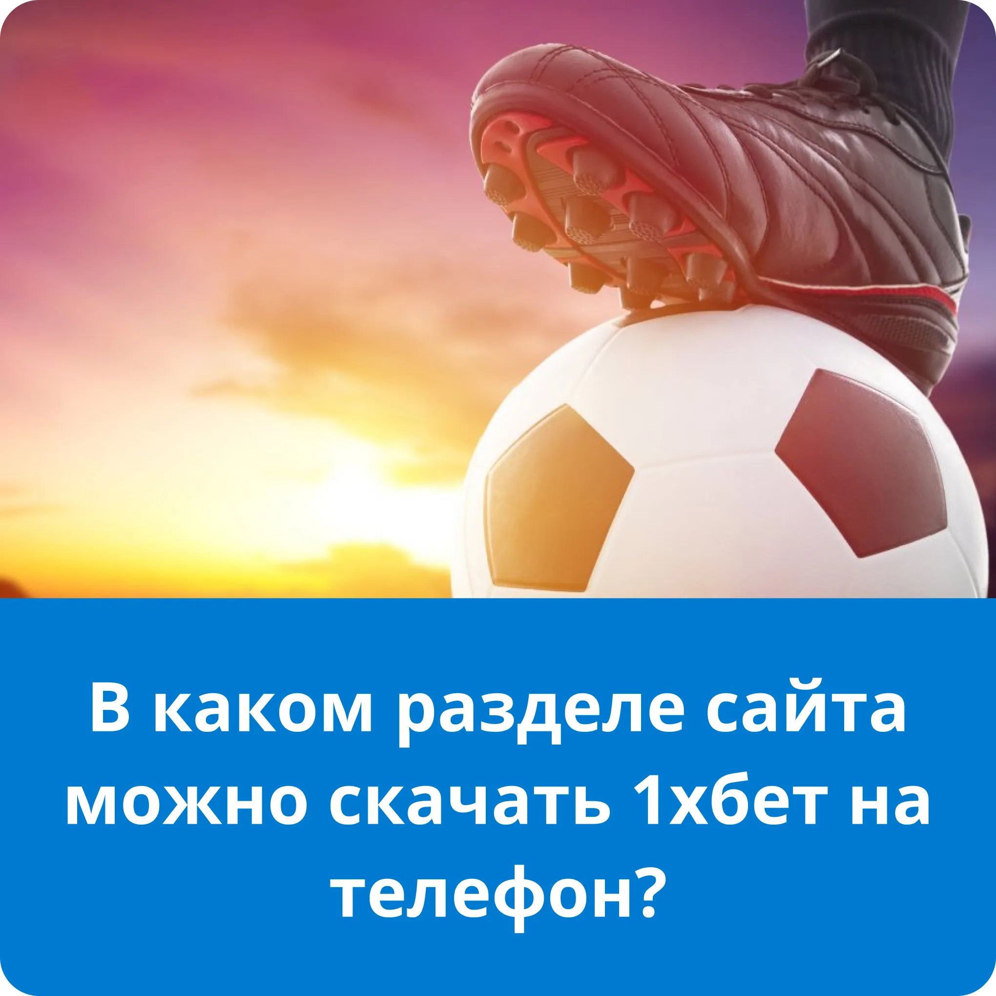 1xbet 1xbet